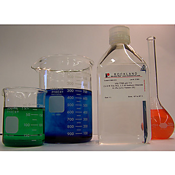 10X TTBS pH 7.5 (1.0 M Tris HCl 1.5 M Sodium Chloride 0.1% (v/v) Tween-20), 1L, Liquid (sterile filtered)