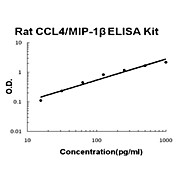 Rat CCL4/MIP-1 beta AccuSignal ELISA Kit, 1Kit
