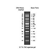 Diamond Ready-to-Use DNA Ladder 250-25Kbp, 500µL, Liquid (in 1x Loading Buffer)