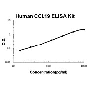Human CCL19/MIP-3 beta AccuSignal ELISA Kit, 1Kit