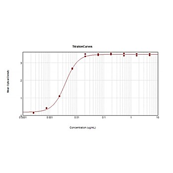 F(ab')2 Anti-GOAT IgG [H&L] (DONKEY) Antibody Peroxidase Conjugated Min X Ch GP Ham Hs Hu Ms Rb & Rt Serum Proteins, 500µg, Lyophilized
