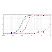 F(ab')2 Anti-MOUSE IgG F(c) (GOAT) Antibody Biotin Conjugated Min X Bv Hs & Hu Serum Proteins, 500µg, Lyophilized
