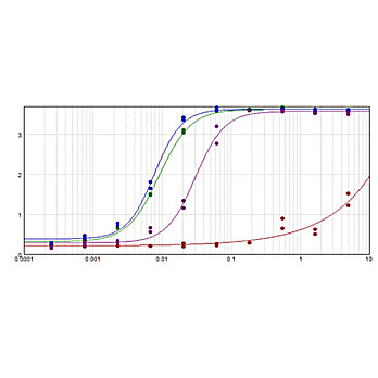 F(ab')2 Anti-MOUSE IgG F(c) (GOAT) Antibody Biotin Conjugated Min X Bv Hs & Hu Serum Proteins, 500µg, Lyophilized