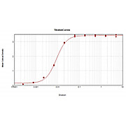 F(ab')2 Anti-MOUSE IgM (mu chain) (GOAT) Antibody Peroxidase Conjugated, 500µg, Lyophilized