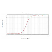F(ab')2 Anti-MOUSE IgG (H&L) (GOAT) Antibody Alkaline Phosphatase Conjugated Min X Bv Hs Hu Rb Rt & Sh Serum Proteins, 500µg, Liquid