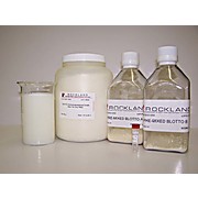 BLOTTO A PRE-MIXED, 500mL, Lyophilized