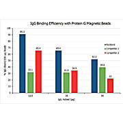 TrueBlot® Protein G Magnetic Beads IP/Co-IP Kit, 1Kit, Suspension of Magnetic Beads
