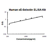 Human sE-Selectin AccuSignal ELISA Kit, 1Kit