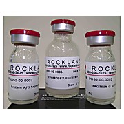 SEPHAROSE™ PROTEIN G, 2mL, Suspension of agarose beads