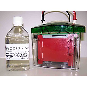 Blocking Buffer for Fluorescent Western Blotting THIMEROSAL FREE 10-PACK (10 x 500 ml), 1Each, Liquid (sterile filtered)
