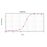 Fab Anti-SHEEP IgG (H&L) (RABBIT) Antibody Peroxidase Conjugated, 500µg, Lyophilized