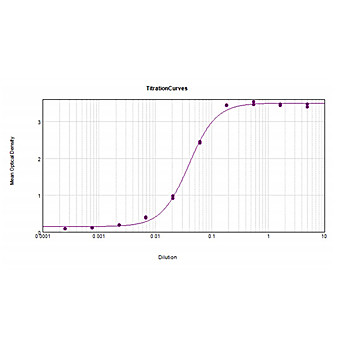 Fab Anti-SHEEP IgG (H&L) (RABBIT) Antibody Peroxidase Conjugated, 500µg, Lyophilized