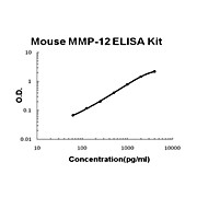 Mouse MMP-12 AccuSignal ELISA Kit, 1Kit