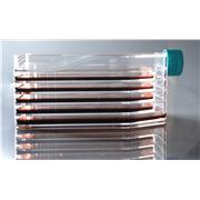 5-Layer Cell Culture Flasks