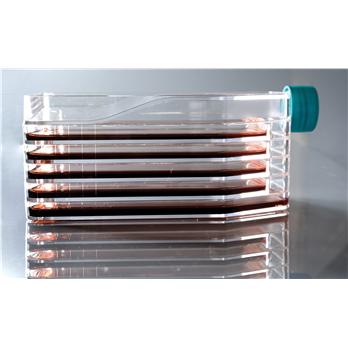 5-Layer Cell Culture Flasks