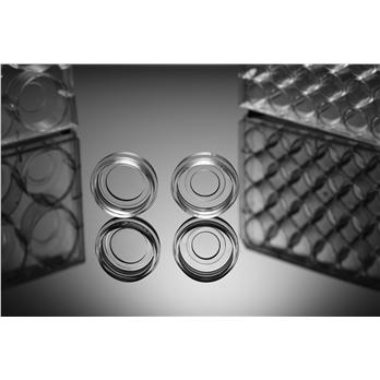 Glass Bottom Cell Culture Plates