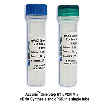 Accuris qMAX Probe One-Step RT-qPCR Kit Low Rox