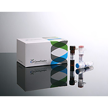 GeneFinder™ HLA-B*51 Plus RealAmp kit