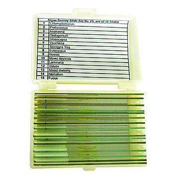 United Scientific™ Algae Survey Slide Set of 15