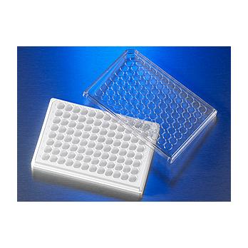 HTS Transwell®-96 Receiver Plate, White, TC-Treated, Sterile