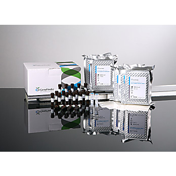GeneFinder™ HLA-ABCDRDQDP RealAmp kit