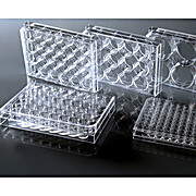 384 Well Cell Culture Plate, White, Flat Bottom, TC, Sterile,1/PK, 100/CS