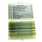 United Scientific™ Bacteria Slide Set of 12