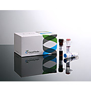GeneFinder™ HLA-B*27 RealAmp kit