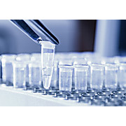 Internal PCR Controls