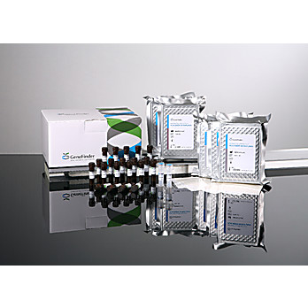 GeneFinder™ HLA-DR3/DR4 RealAmp kit