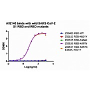 MonoRab™ SARS-CoV-2 Spike (417N) Neutralizing Antibody (21F1), mAb, Rabbit