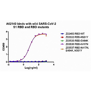 MonoRab™ SARS-CoV-2 Spike (417N) Neutralizing Antibody (21F1), mAb, Rabbit
