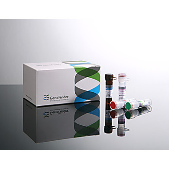 GeneFinder™ Pneumonia-6 RealAmp Kit