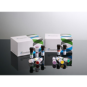 GeneFinder™ Malaria(PF/PO/PM) RealAmp Kit