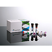 GeneFinder™ COVID-19 Fast RealAmp Kit