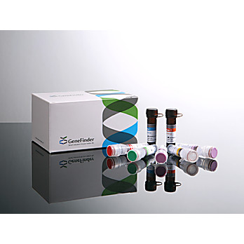 GeneFinder™ COVID-19 Fast RealAmp Kit