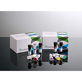 GeneFinder™ YFV RealAmp Kit