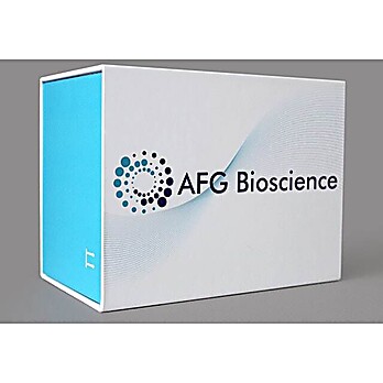 Bovine asymmetrical dimethylarginine (ADMA) ELISA Kit