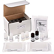 Exocell Nephrat II (Rat Albumin) ELISA Kit