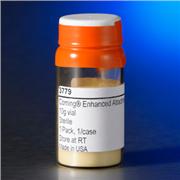 Enhanced Attachment Microcarriers