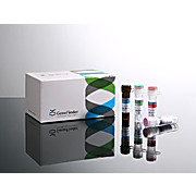 GeneFinder™ STD III (HSV 1&2/UP) Multiplex Real-time PCR Kit