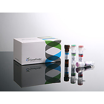 GeneFinder™ STD III (HSV 1&2/UP) Multiplex Real-time PCR Kit