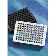 Polystyrene Poly-D-Lysine Coated Microplates