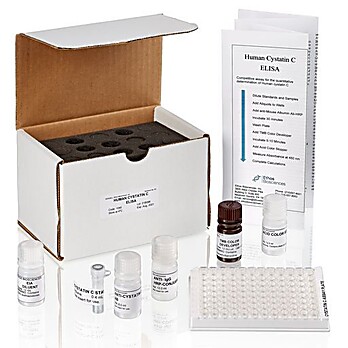 Exocell Human Cystatin C ELISA Kit
