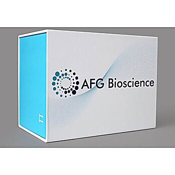 Rat Atrial Natriuretic Peptide (ANP) ELISA Kit 