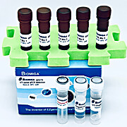 UTI Panel Real Time PCR Detection