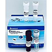 SC2 FluA&B Real Time PCR Detection