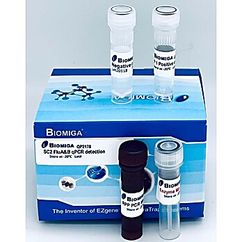 SC2 FluA&B Real Time PCR Detection