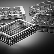 Cell Culture Plate