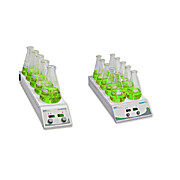 Benchmark Multi-Position Stirring Hotplates